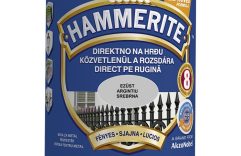 HAMMERITE LUCIOS ARGINTIU 2.5L